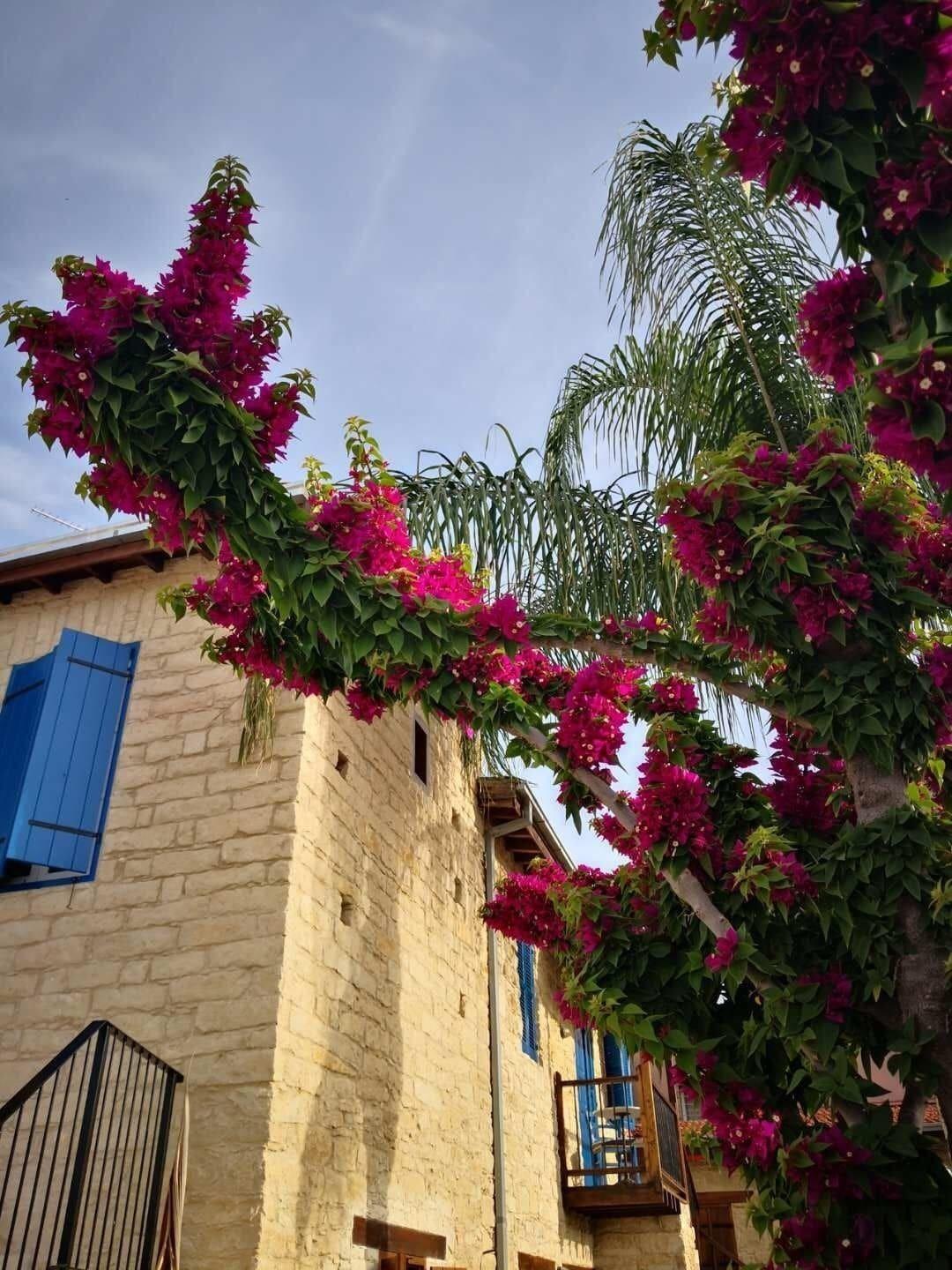 Niki'S House Limassol Exterior foto